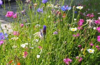 Ferienwohnung Bergahorn - Foto 22