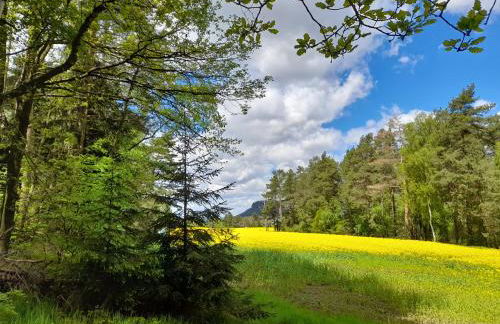 Ferienhaus Helmig - Foto 20
