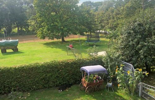 Ostseebauernhof Familie Jäger - Foto 6