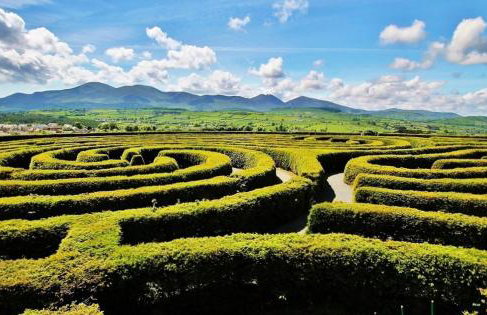 The Downshire Arms Apartments Hilltown - Foto 64