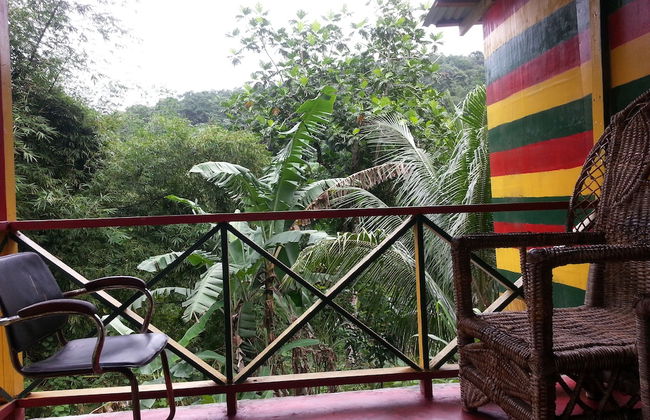 Nature in portland - Foto 11