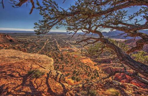 Luxury 3BR in Upscale Neighborhood Pet Friendly - Foto 63