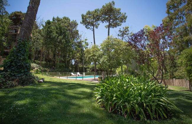 Posada Del Bosque Cariló - Photo 24