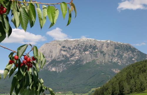 Ferienbauernhof Masunerhof - Foto 24