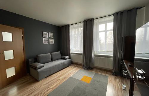 Apartamenty Trzciana - Foto 27