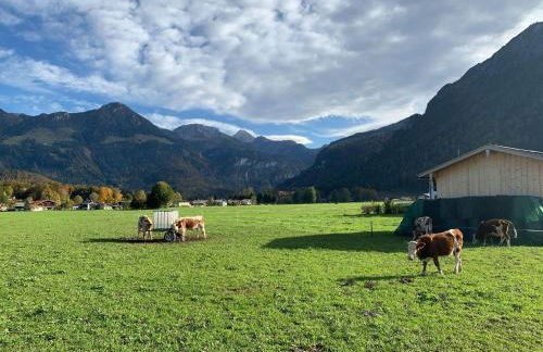 Ferienwohnung Hoher Göllblick - Foto 19