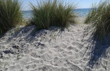 Vier Jahreszeiten 4JZ Haus 1 Whg 26 - Foto 12