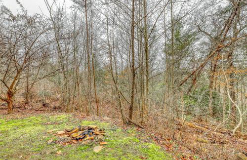 A Bear Pause - Foto 30