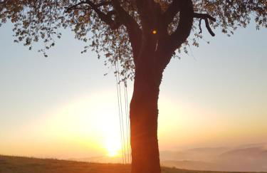 Sonnenschein am Rursee - Foto 32