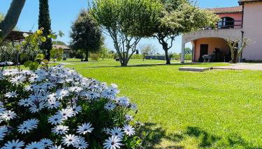 Agriturismo Paradiso - Foto 1, Garden view