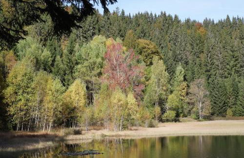 Ferienhaus in Wittenschwand - Foto 20