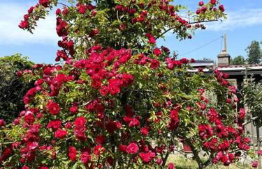 Stella Mare charmante maison proche du Touquet - Foto 30