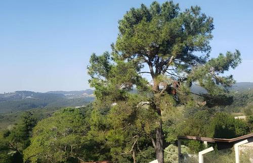 Villa Container no Roteiro do Vinho - Foto 35