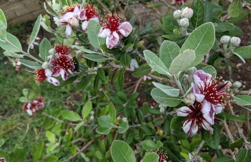 Accomodation in villa with pool & parking near Rome - Foto 5