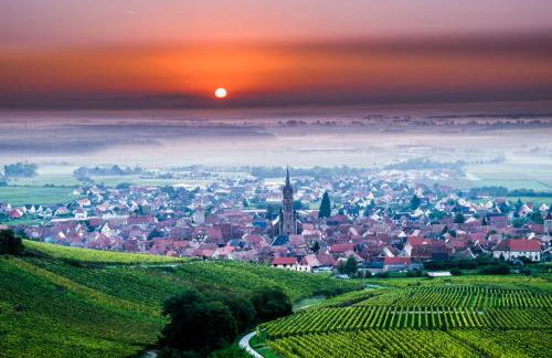 Le p'tit coin de chez nous - Foto 73