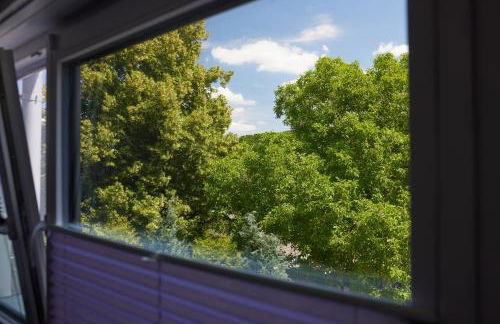 Schwarzer Kater Blankenheim - Foto 27