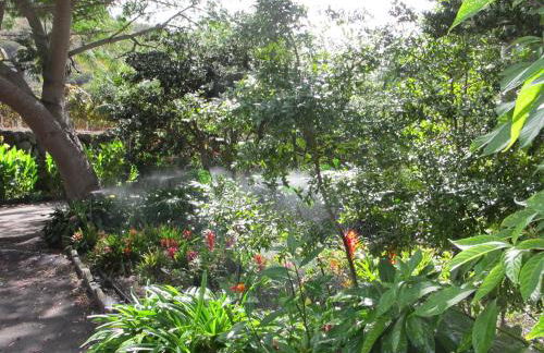 Haciendas del Valle - Las Kentias - Foto 45