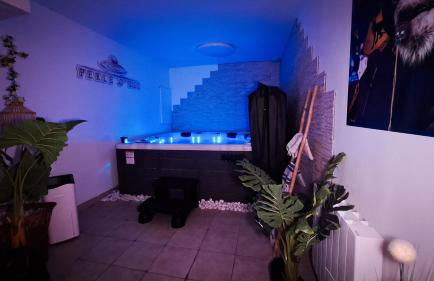 Perle d'eau-Love Room-Jacuzzi-Sauna-Proche Montbéliard et Belfort - Foto 71