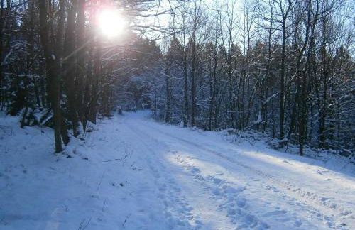 Ferienwohnungen Schimsheimer Rhode - Photo 14