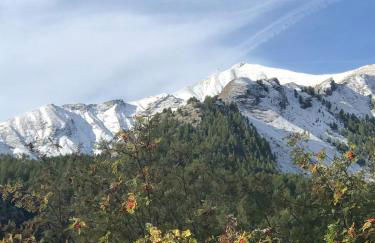 Bas de chalet station La Foux - Foto 47