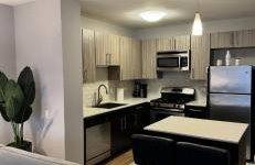 Best skyrise in downtown Chicago - Photo 9