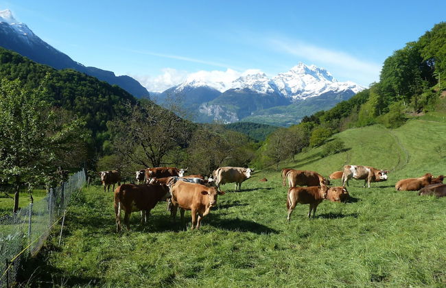 La Petite Grange - Foto 28