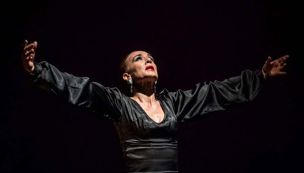 Espectáculo en el Teatro Flamenco - Foto 3, Disfrutando del baile flamenco