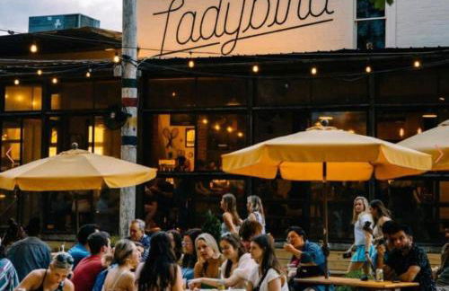 Lion's Lair - Foto 42