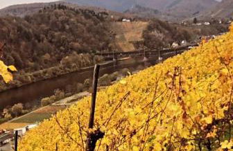 Ferienwohnung Christa - Foto 31