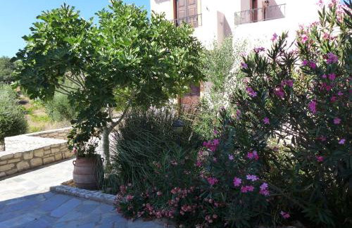 Villa in Axos with Pool near Panormo Beach - Photo 8