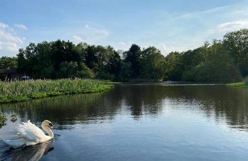 Lake View Lincoln - Foto 3