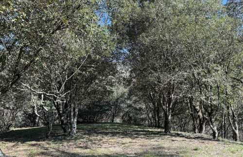 La Grossille Mas avec piscine - Foto 14