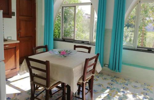 Garden & Sea - Foto 14