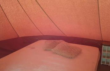 Yuccasa - Small Glamping Camping & Studio's - Photo 24