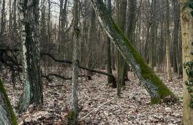 Chill ChaTka Osowiec Las&SPA pod Warszawą - Foto 36