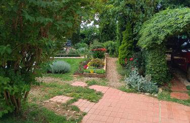 Casetta Olivetta - Foto 26