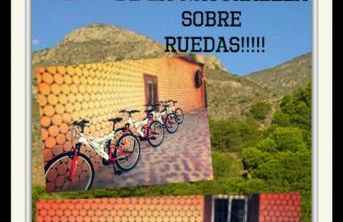 Casas y Cuevas El Solins - Foto 64