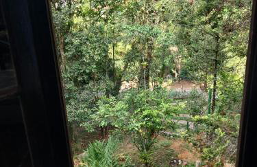 Chales Amanhecer e Entardecer em Meio a Natureza - Foto 10