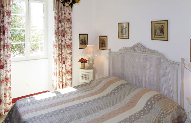 Primavera - Photo 16