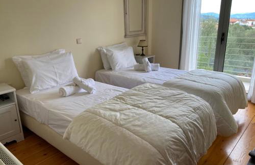 Aeria View - Foto 11