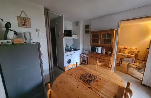 appartement montagne la vallée verte cœur station Hirmentaz - Foto 11