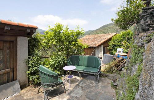 Green Cactus House - Foto 27