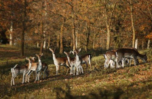 Agriturismo I Leprotti - Photo 54