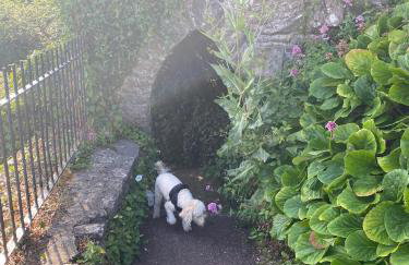 Cosy cottage - Foto 44