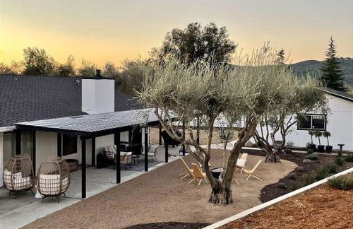 Olive and Stone - Foto 1