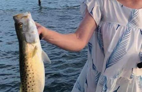 Paradise Cove at Lemon Bay - Foto 48