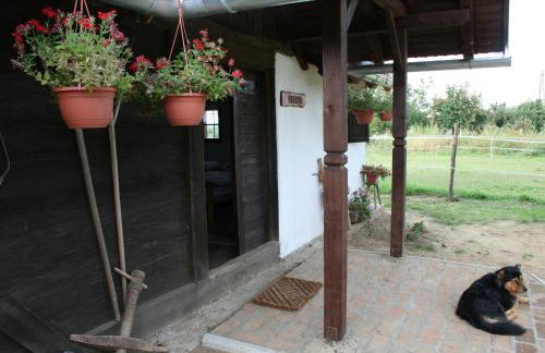 Farmica, Bed&Breakfast, Bazen izdvojen nekoliko minuta hoda - Foto 37