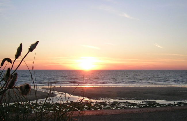 Harrington Flats - Foto 31