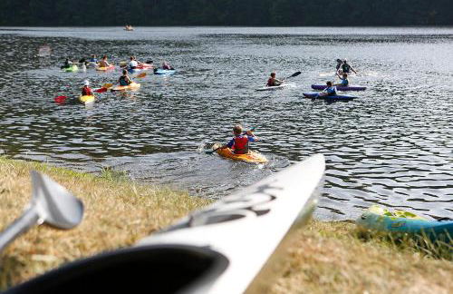 Landhaus Wald und See Nr. 35 - Foto 19