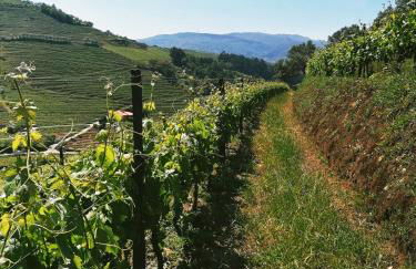 Quinta de Baixo - Photo 41